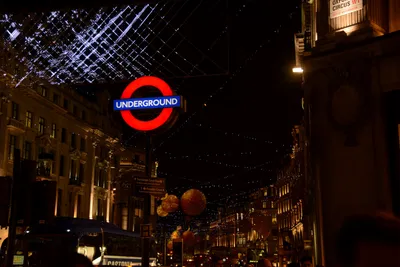 DSC_6072 (Large).JPG